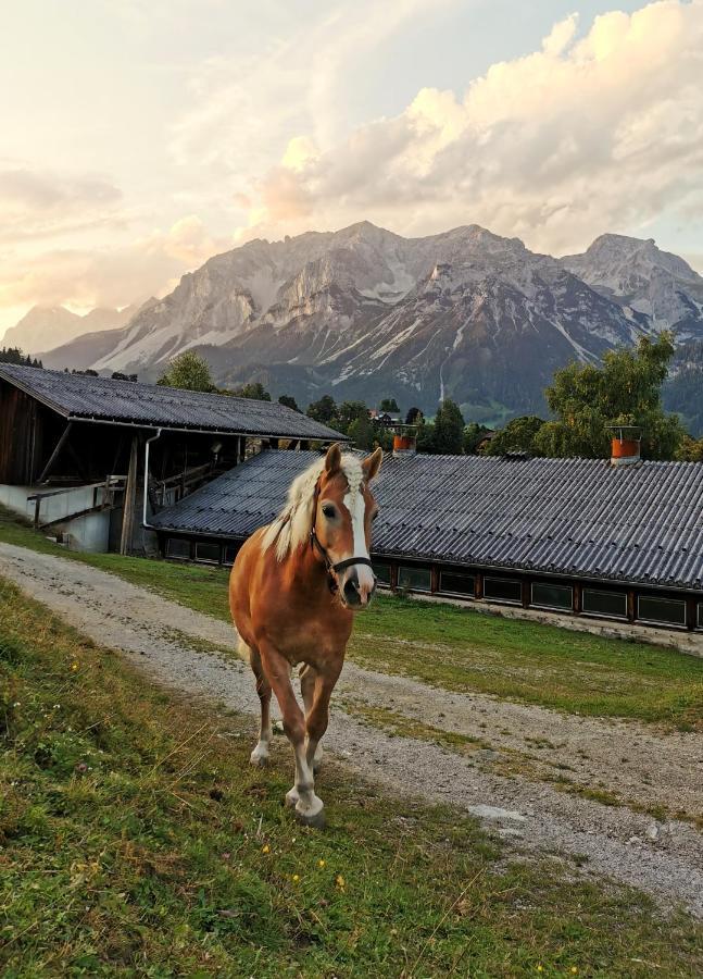 Апарт готель Burglehnerhof Рамзау-ам-Дахштайн Екстер'єр фото
