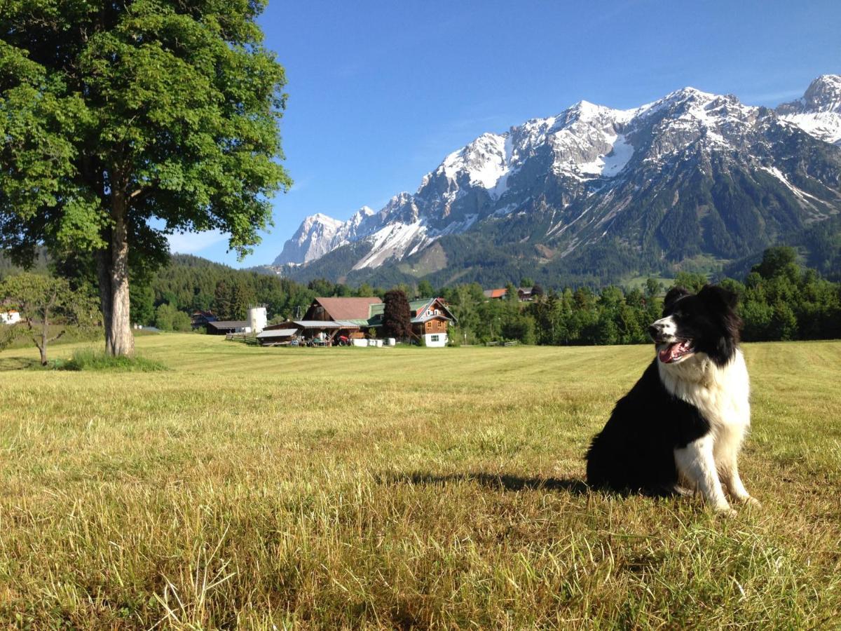 Апарт готель Burglehnerhof Рамзау-ам-Дахштайн Екстер'єр фото