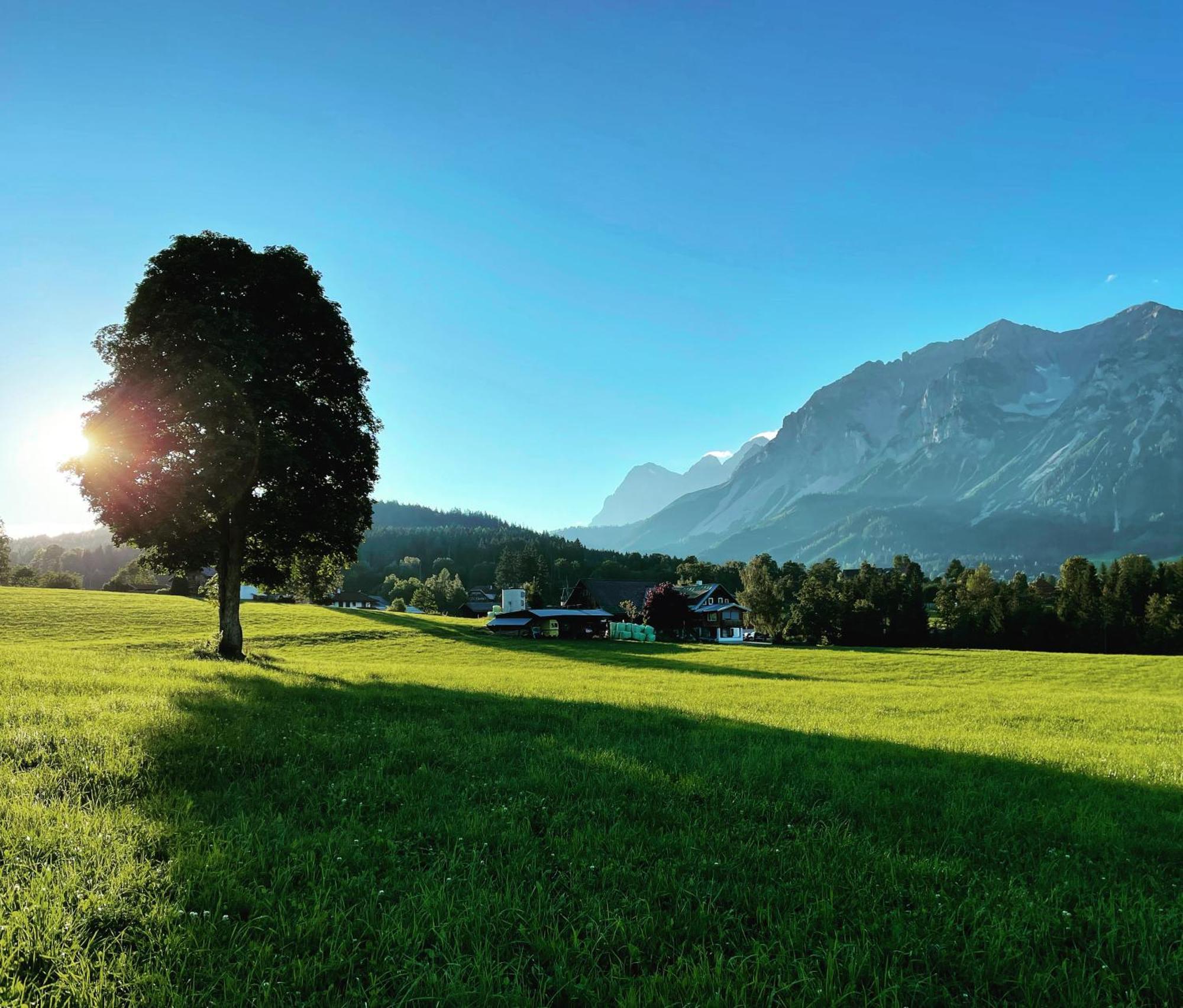 Апарт готель Burglehnerhof Рамзау-ам-Дахштайн Екстер'єр фото
